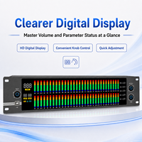 Égaliseur graphique professionnel double 31 bandes HG-888S avec processeur audio DSP à mémoire pour système audio