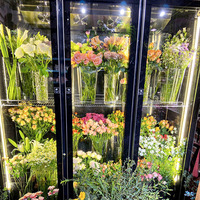 Vitrine Réfrigérée Florale Monotempérature pour l'Exposition de Fleurs Élégante Machine de Refroidissement pour Fleurs