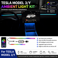 Kit de Luces Ambientales RGB con Alimentación USB para Tesla Model 3/Y, Tiras de Luces LED Interiores Controladas por Aplicación