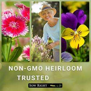 24 sachets de fleurs de zinnia en plastique de la collection Farm, de belles grandes fleurs, paquets de 24 - Product Image 4