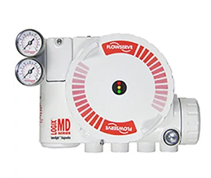 Logix 1500 ดิจิตอล สำหรับอุตสาหกรรมน้ำมัน เคมี พลังงาน และการบำบัดน้ำ - Product Image 3