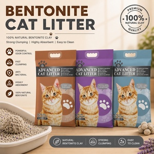 Arena para Gatos de Bentonita a Base de Sodio Premium, Aglutinación Extra Fuerte, Control de Olores, Arena para Gatos en Venta - Product Image 1