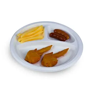 Disposable biodegradable Eco friendly elegant sugarcane bagasse pulp paper round dinner fruit plate and tray tableware