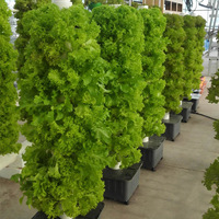 New Agricultural Rotary Aeroponic Tower Garden Vertical Hydroponic System Greenhouse