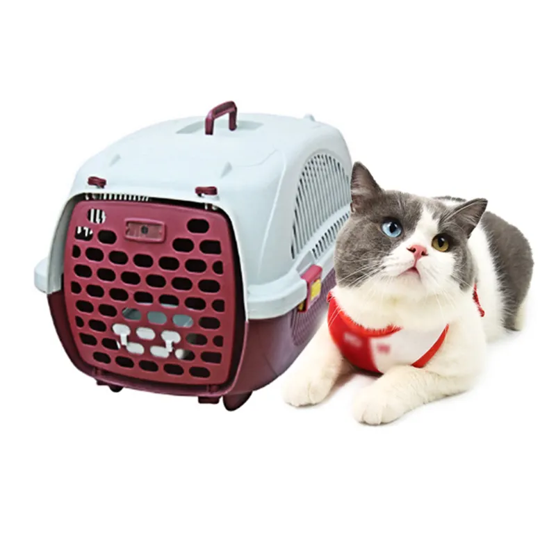 Großhandel 3 in 1 Faltbare tragbare Katze Hund Welpe Haustier Reise käfige Träger Airline Approved Kleintiere Haustier Träger