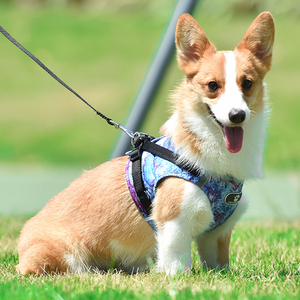 Beste Hot Intrekbare Schattige Puppy Hond <span class=keywords><strong>Sex</strong></span> Huisdier Vest Harnassen Voor Honden - Product Image 1