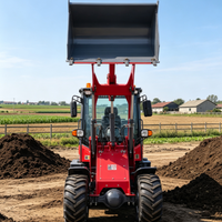 China Small Wheel Loader Kapasitas Bucket 0.33m³ Beban Terukur 800kg Mini Loader untuk Pekerjaan Pertanian
