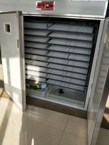 Nhà máy trực tiếp bán năng lượng mặt trời lồng ấp để ấp trứng <span class=keywords><strong>3520</strong></span> trứng lồng ấp hoàn toàn tự động - Product Image 3