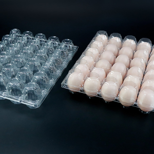 Bandeja <span class=keywords><strong>de</strong></span> plástico Biodegradable para guardar <span class=keywords><strong>huevos</strong></span> <span class=keywords><strong>de</strong></span> <span class=keywords><strong>codorniz</strong></span>, <span class=keywords><strong>caja</strong></span> <span class=keywords><strong>de</strong></span> embalaje, <span class=keywords><strong>precio</strong></span> al por mayor - Product Image 3