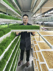 Sistema de Cultivo Vertical Hidropónico en Contenedor de Envío Grande Personalizado, con Acero Inoxidable y Funcionamiento Automático - Product Image 6