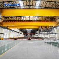 Grue métallurgique professionnelle résistante à l'humidité élevée pour usine de fusion et usine de galvanoplastie