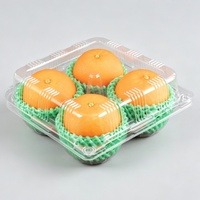 Groothandel 4-delige voedselveilige PET transparante clamshell fruitverpakking wegwerp plastic doos voor appels, peren, avocado's
