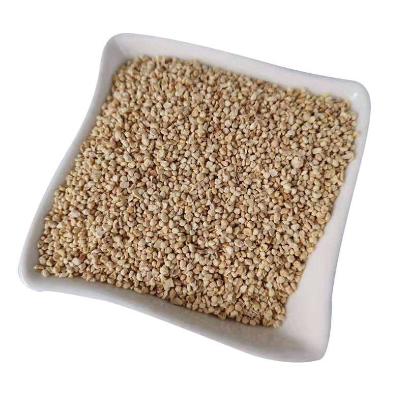 Корнпочка для выращивания устричных грибов