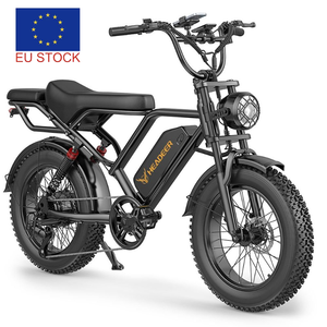 Bicicleta Eléctrica de Doble Disco con Neumáticos Gruesos de 20 Pulgadas, 250w, 25km/h, Envío desde Almacén en la UE, Bicicleta Eléctrica para Adultos, Fatbike BK20 - Product Image 1