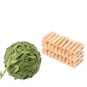 Bulk Wood Multi-Purpose <b>Clothes</b> Pegs & <b>Clips</b> Stainless Steel Hooks Rectangle Shape Modern Design for Living Room Drink/Food Use - Product Image 4