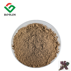Pure <span class=keywords><strong>Perilla</strong></span> Leaf Extract Poeder Food Grade <span class=keywords><strong>Perilla</strong></span> Leaf Extract Poeder 10:1 20:1 Voor Gezondheidszorg Supplement - Product Image 4