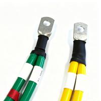 Harnais de batterie double fil robuste sur mesure avec borne à barillet ouvert, câble de démarrage haute intensité pour contrôle DC industriel
