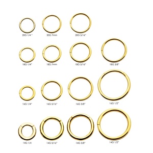 Giometal ASTM F136 Titanium polos berengsel segmen Septum Clicker cincin hidung perhiasan Daith tindik badan perhiasan grosir - Product Image 4