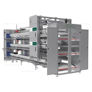 Équipement automatique pour volailles 96,120,128,160 Oiseaux Capacité de couche Cage de batterie Couches Système de cages à poulets pour poules de ferme Coop