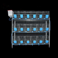 Maison d'Élevage de Lapins avec Nichoir Attenant et Cages à Lapins Nouveau Produit Fourni 12 Cages à Lapins Tubes Métalliques Philippines 1 Ensemble