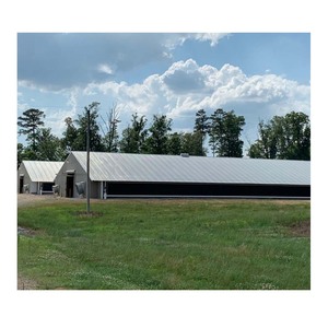 Prix usine poulet <span class=keywords><strong>maison</strong></span> plans de construction structure en acier claire portée poulaillers à vendre - Product Image 2