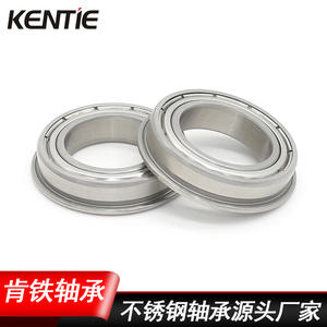 Rodamientos de Bolas de Ranura Profunda de Acero Inoxidable SF6804ZZ, Suministro Directo de Fábrica, Equipos de Galvanoplastia, Bridas Resistentes a la Corrosión, Venta al por Mayor - Product Image 4