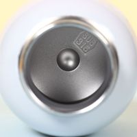 Mini Thermos Portable Personnalisé 260ml à Double Paroi en Acier Inoxydable avec Poignée pour Voyage