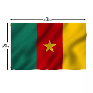 Banderas de Camerún personalizadas Logotipo de 3x5 pies verde rojo amarillo estrella bandera intercambio mano ondeando coche Camerún países bandera - Product Image 3