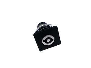 Hengsheng MS817 loquet à came en alliage <span class=keywords><strong>de</strong></span> zinc enduit <span class=keywords><strong>de</strong></span> <span class=keywords><strong>PVC</strong></span> loquet <span class=keywords><strong>de</strong></span> Compression industriel boîte à outils armoire ronde <span class=keywords><strong>quart</strong></span> <span class=keywords><strong>de</strong></span> tour serrure - Product Image 4