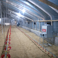 Chauffage à gaz DAMLY économe en énergie pour volailles, souffleur de chaleur au GPL/gaz naturel pour serres, élevages de porcs et poulets