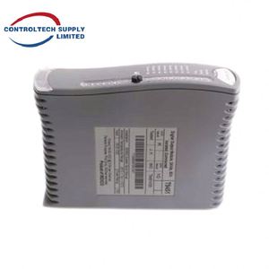 Ensemble de terminaison d'output numérique ICS TRIPLEX T9831 - 8 canaux doubles, 24V Haute fiabilité pour le contrôle industriel - Product Image 2