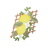 Patchwork brodé pour vêtements, manteaux et décorations, motifs fruits (fraises, raisins, citrons), broderie informatique, thermocollant, vente en gros