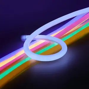 Factory Direct Supply RGB LED Light Battery Powered Flexible Waterproof Strip Lamps Outdoor Colorful Tube Lights