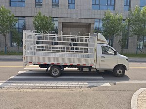 Camionnette électrique Reach Ren T30 |   Haute capacité de charge et longue portée pour les utilisateurs commerciaux mondiaux - Product Image 6
