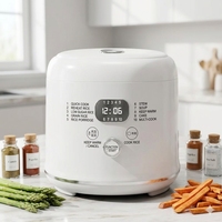 Autocuiseur de riz automatique WT-D04-2.8L 2,8 L 400 W avec fonction riz faible en sucre et contrôle tactile pour usage domestique