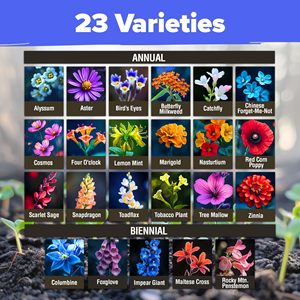 Mélange de fleurs sauvages naturelles-Variété vivace et annuelle pour la plantation d'automne, attire les oiseaux, convient à une utilisation suspendue de fleurs - Product Image 2