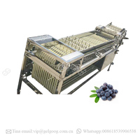 Gelgoog Fabriek Prijs Data Classifier Jujube Sorteermachine Datum Palm Sorteren Machine