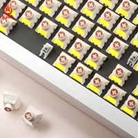 Interrupteurs Kailh BOX Light Blurred Ice Cream, entièrement en POM, pour clavier mécanique, linéaires, 5 broches, étanches IP56, pour jeux RGB et DIY