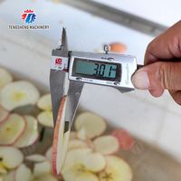 Grote Type Industriële Banaan Kokosnoot Chips Frieten Ui Chopper Cutter Papaya Snijmachine Snijmachine (TS-Q128D)