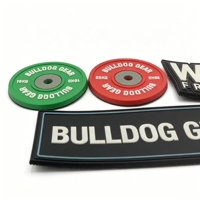 Patch en caoutchouc personnalisé avec logo pour entraîneur de gym, club de musculation, plaque de poids, fitness, avec crochet et Velcro en PVC, étiquette pour vêtements et casquettes
