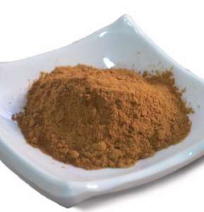 Травяной корень одуванчика, флавоноиды тараксакума, экстракт одуванчика в порошке - Product Image 3