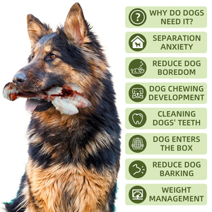 Naylon sessiz çiğnemek kaktüs şekli yıkılmaz köpek oyuncak agresif Chewer sığır lezzet aşınmaya dayanıklı ve ısırık dayanıklı köpek oyuncak - Product Image 2