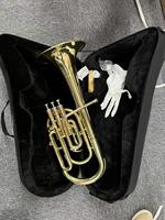 Yellow Brass BE Alto Horn Brass Instruments with Premium Case(AH-G400G-YRY)