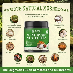 OEM/ODM, Marca Privada, Extracto de Café de Matcha y Hongos Orgánicos Saludables en Polvo para Adultos - Mejora la Inmunidad, la Memoria y el Sueño - Product Image 4