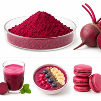 Longbio Bubuk Akar Bit Merah Alami Sumber Buah/Sayuran Bubuk Jus Bit