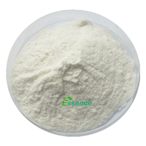 Bitki özü Cnidium Monnieri meyve tozu özü osos98% Cnidium Officinale tohumu - Product Image 2