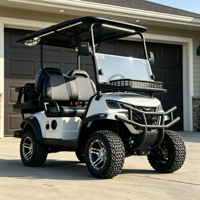Voiturette de golf électrique Americas Choice 72V avec teinte personnalisable et solutions de rangement supplémentaires polyvalentes pour la maison
