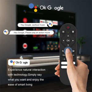 Boîtier décodeur Premium H2 Allwinner H313, 2 Go de RAM, 16 Go de stockage, double Wi-Fi 2,4 G 5 G 6 G, OTT en gros, Android 10, BT5.4, télécommande vocale, clé TV - Product Image 5