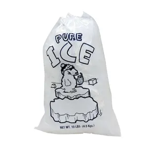 Schlussverkauf eisverpackungsbeutel aus kunststoff 8 lb 10 lb 12 lb 20 lb kordelzug-eisbeutel