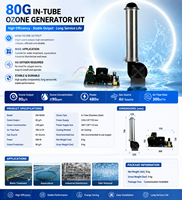 Modul Generator ozon Quartz pendingin udara 80g/jam pembuangan permukaan Internal untuk perawatan Gas limbah